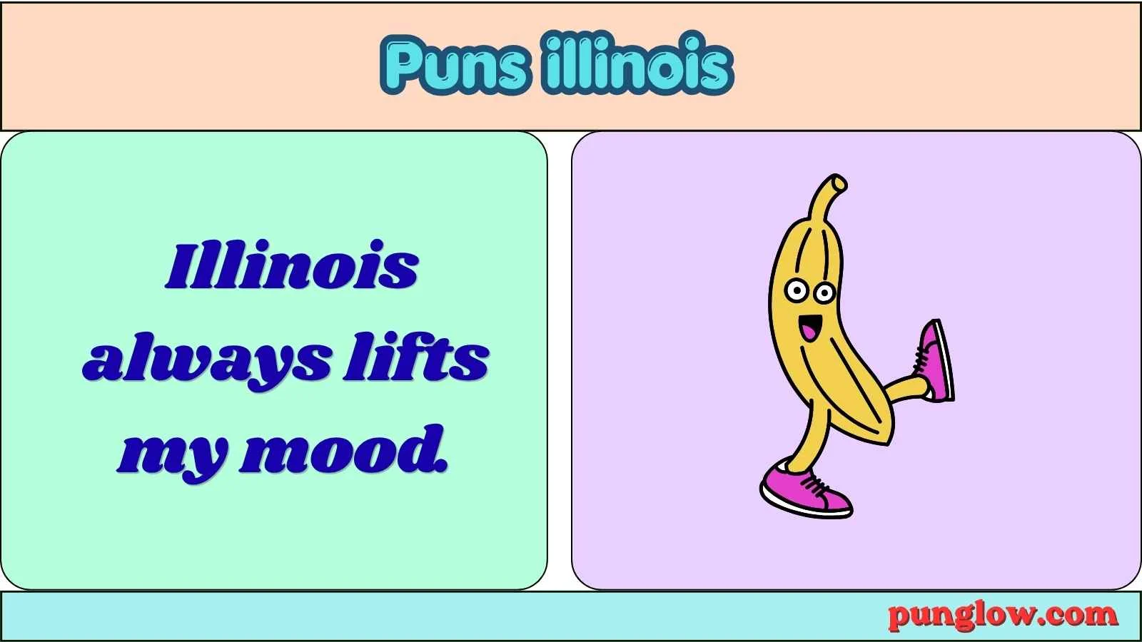 puns illinois